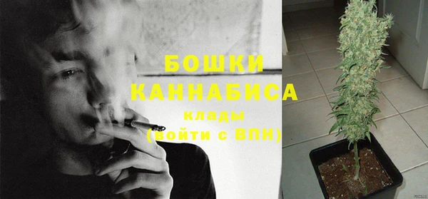 мет Гусев