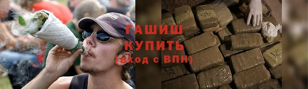 трава Гусиноозёрск