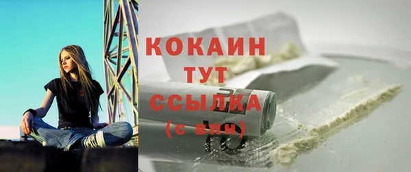 мет Гусев