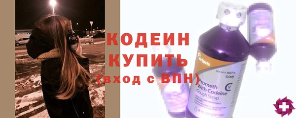 трава Гусиноозёрск
