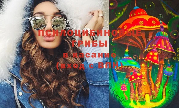 прущие крисы Тихвин