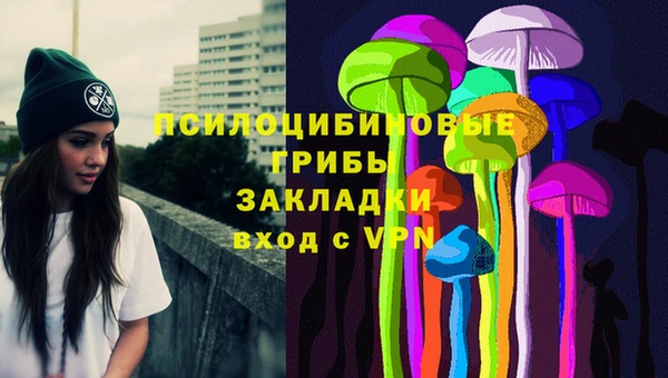 трава Гусиноозёрск
