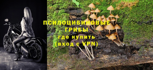 бошки Зарайск