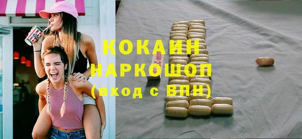 трава Гусиноозёрск