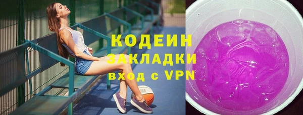 мет Гусев