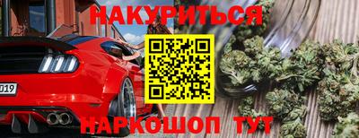 прущие грибы Можга