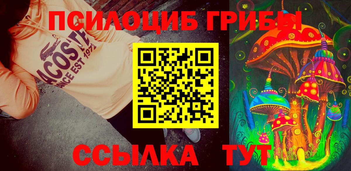 Галлюциногенные грибы мицелий Ивантеевка