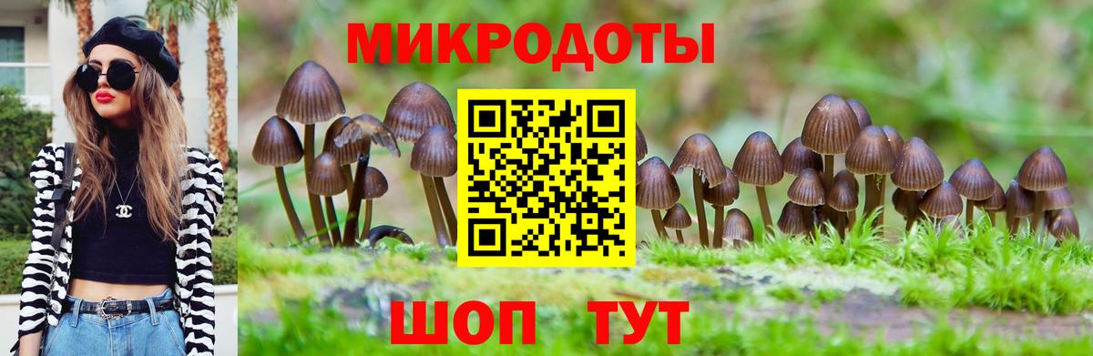 Ивантеевка  Псилоцибиновые грибы мицелий  Галлюциногенные грибы ЛСД  Вход с VPN 